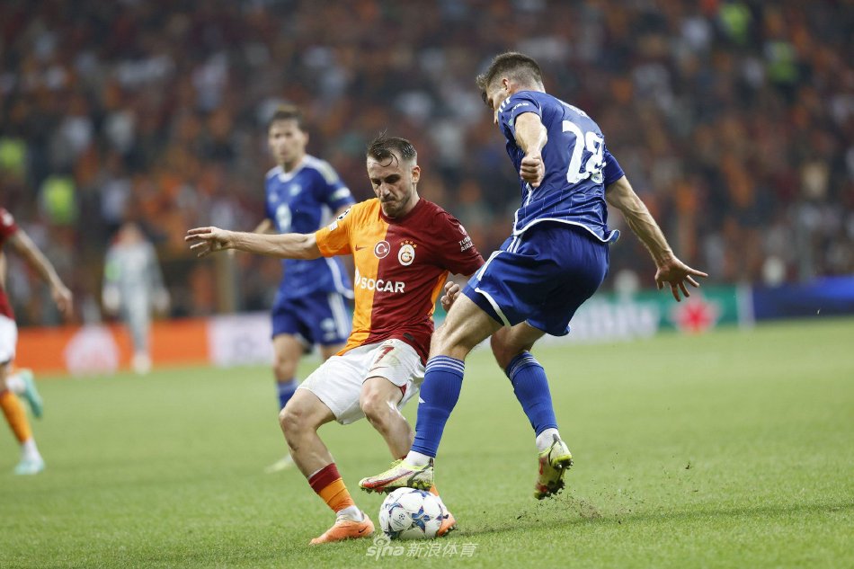 纽卡斯尔主 纽卡斯尔主